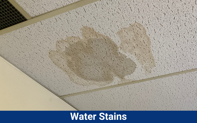 Water Stains